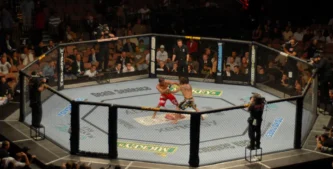 UFC Vegas 106