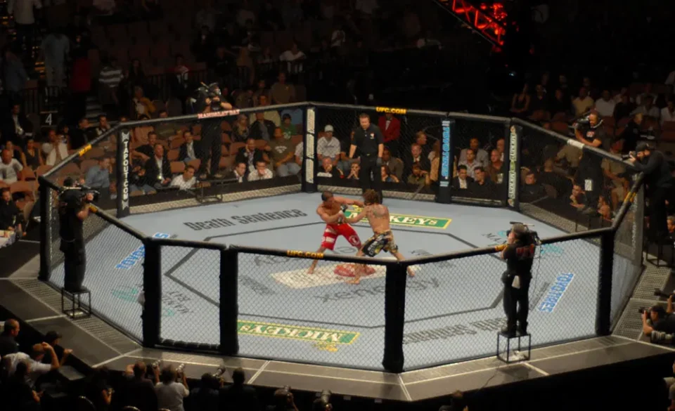 UFC Vegas 106